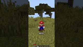 Minecraft Tapi Aku Jadi Mario 64