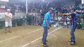 aithentic white kelso win 5stag derby San roque cockpit arena