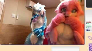 【Fursuit Dance】Elsprada&BlazeMir-Super Tuna