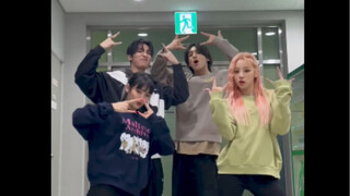 禹硕yuto 雨琦Minnie  TOMBOY  cube家族