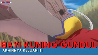 Bleach || Bayi Kuning Gundul Akhirnya Keluar ❗❗❗