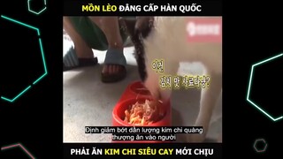 Mồn Lèo Hàn Quốc phải ăn kim chi Siêu Cay mới chịu | LT Review