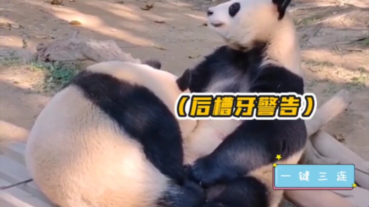 كنز وطني: هل أبدو كمن لا يهتم بماء الوجه؟!