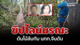 ซิปไลน์มรณะ ต้นไม้ล้มทับ นทท.จีนดับ | อมรินทร์อัปเดต