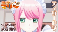 Mechanical Marie_PV1
