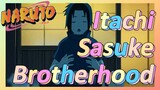Itachi Sasuke Brotherhood
