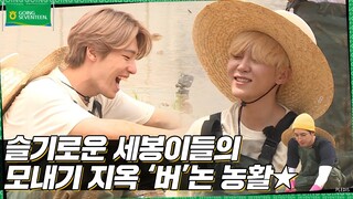 [GOING SEVENTEEN] EP.14 버논에서 모처럼 모내기를 하며 모든 내기를 해보았다 #1 (Planting Rice and Making Bets #1)