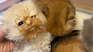 Help! Can this child still be kept?