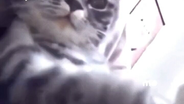 Whose love is this, anyway?