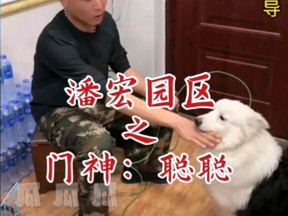 潘宏园区之门神：聪聪