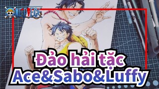 [Đảo hải tặc] Tự họa Ace&Sabo&Luffy, Liên kết mãi mãi&Trái tim nhiệt huyết