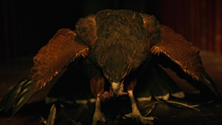 Venganza (2026)