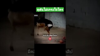 ดุดันไม่เกรงใจใคร