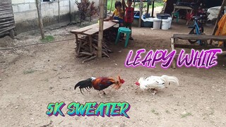 5K Sweater VS Leapy White (Mclean Kelso)