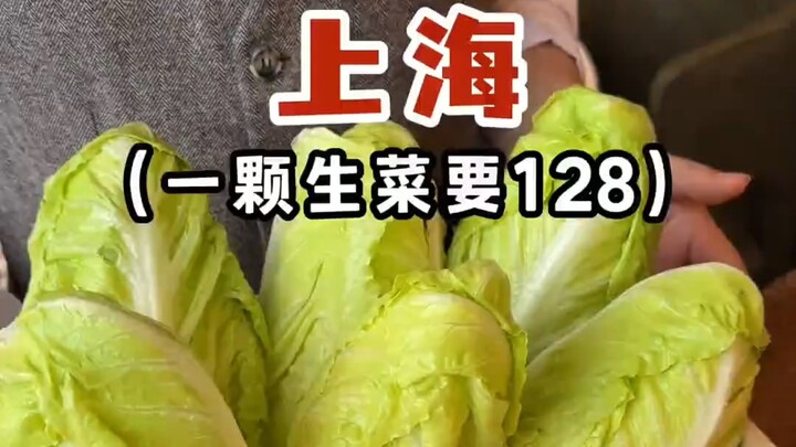 Satu keranjang selada seharga 768! Kalau tidak bekerja keras di Shanghai, bahkan sayur pun tak mampu