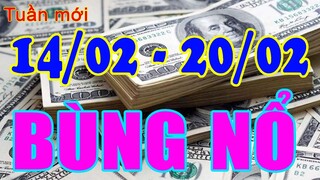 Tử Vi Tuần Mới 14/02 -20/02 Mua Ngay Vé Số Dễ Trúng Cực Lớn Giàu Có Nhất Vùng