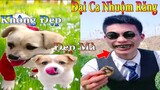 Thú Cưng TV | Dương KC Pets | Bông ham ăn Chíp Cute #42 | chó vui nhộn | funny cute smart dog pets