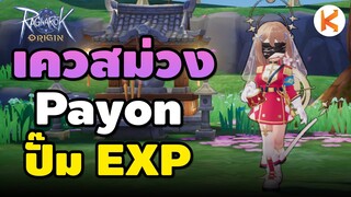รวมเควสม่วง ได้ EXP เมือง Payon | Ro Origin Adventure Quest