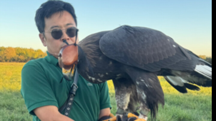 被金雕煽得脸生疼