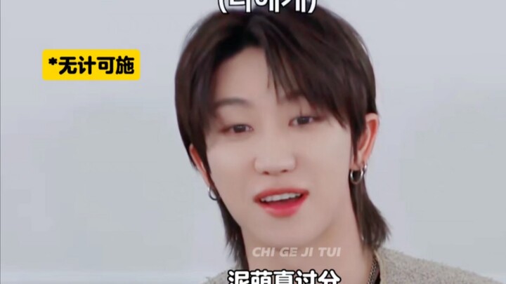【all8】แตงโมที่ฝืนบิดก็หวานดี—เส้นทางการลงสมัครเลือกตั้งอันยากลำบากของผู้กองสวี่