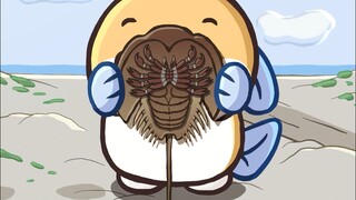 【有趣的小动物】中华鲎🦀🦂 by sqftfish