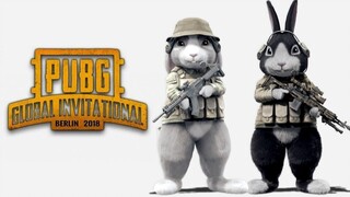 [Edisi Makan Ayam No. 1 Kotoran Kucing] Buka di PlayerUnknown's Battlegrounds, dan Rabbit akan menga