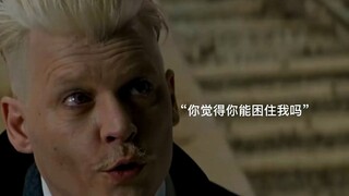 格林德沃（可爱版），这个黑魔王可比伏地魔顺眼多了！