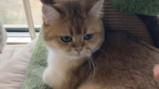 From now on, I'm washing my hands of this... Do whatever you want...