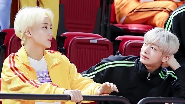 ทำไมยินจิ้งฮั่นถึงชอบไช่เฮิงหยวน