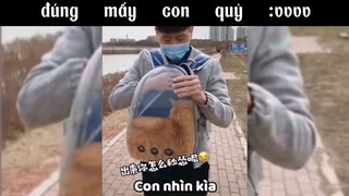 đúng mấy con quỷ sứ #haihuoc