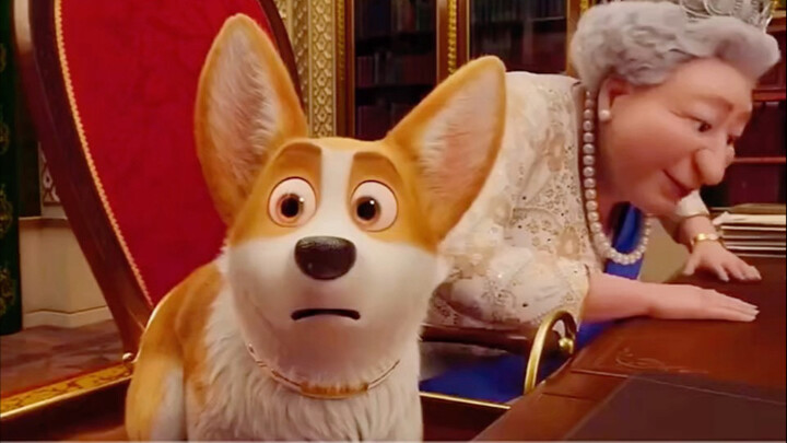 It’s hilarious that a corgi has caught the eye of a female dog.