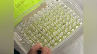 هذا ببساطة كابوس بالنسبة لعشاق الطعام!