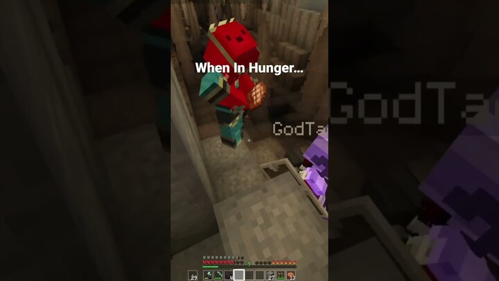 Minecraft Smp Hunger Shenanigans