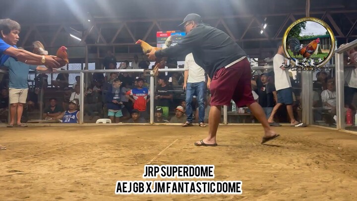 JRP Superdome! AEJ GB x JM Fantastic dome! 18 months vs 3yrs old cock!