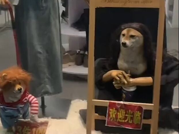 Nuôi chó cả nghìn ngày, chỉ dùng chó trong chốc lát! Chó: Cái nhà này không có tôi sớm muộn cũng tan