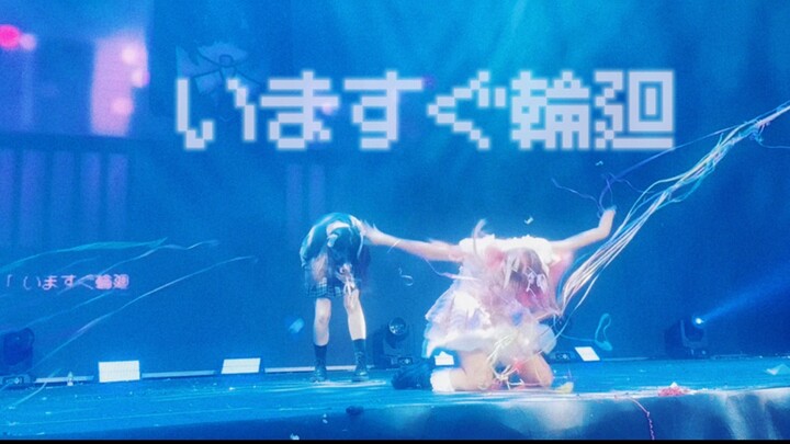 【Starlight Ball】Instant Reincarnation