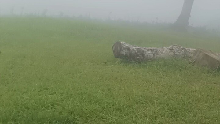 Camp With Me in Catigan Davao City a foggy afternoon