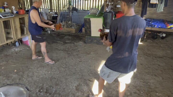 My personal Darna 👑❤️ 1x Winner