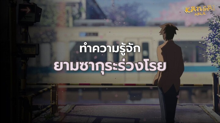 ทำความรู้จัก 'ยามซากุระร่วงโรย'