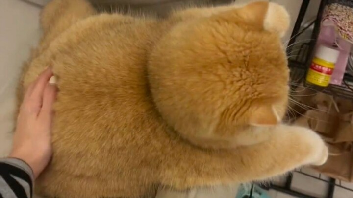 นี่...น่ารักเกินไปแล้วนะ~!!!