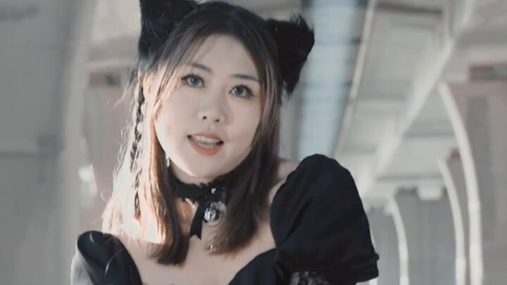 [Vertical Screen] AOA-Catwalk quietly reveals its identity, a super double chin fat cat