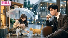 Siswi Miskin & Kucing: Taklukkan Hati CEO Anti Wanita!