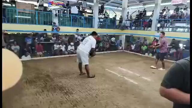 2hits ulutan  champion 🏆
