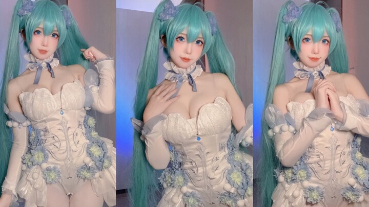 Hoa bướm hồng tiên nữ Hatsune cos