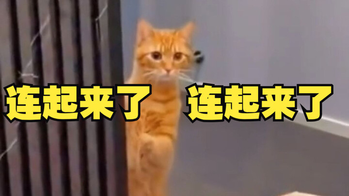 My girlfriend’s first sleepover at my place—and she totally claimed MY spot!