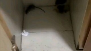 อะไรนะ? คุณเล่นเก่งจริงๆเลยนะ