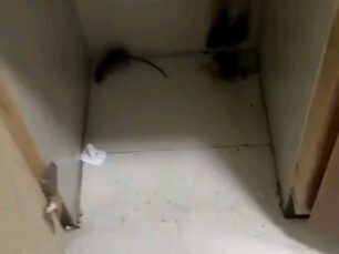 啊？你是真会玩啊