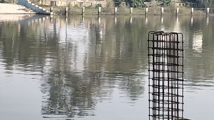 जय हो थावे वाली माई