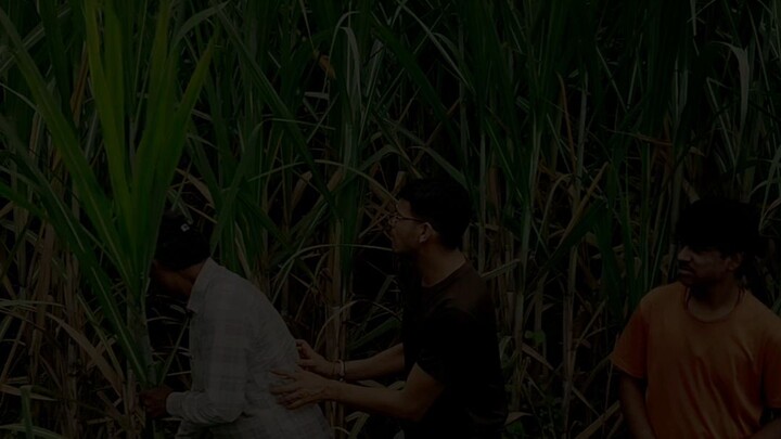 chai Pina comedy video