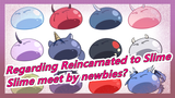 Regarding Reincarnated to Slime|This is the Slime that newbies can meet?